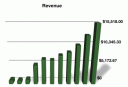 HSE - Revenue