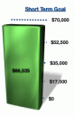 Short Term Portfolio Goal