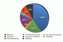 Sector Allocation