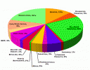 Sector Allocation