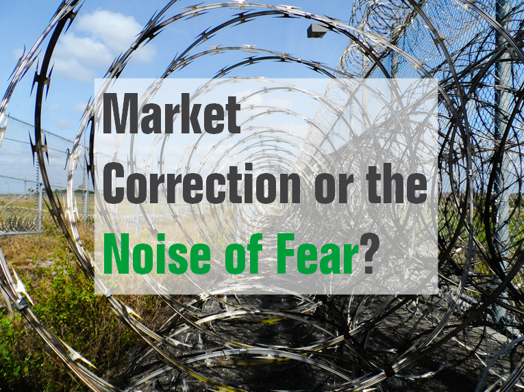 market correction, fear, noise