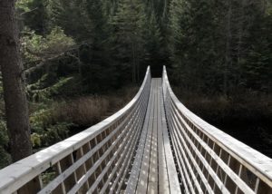 What Do I Do with a Dividend Cut?