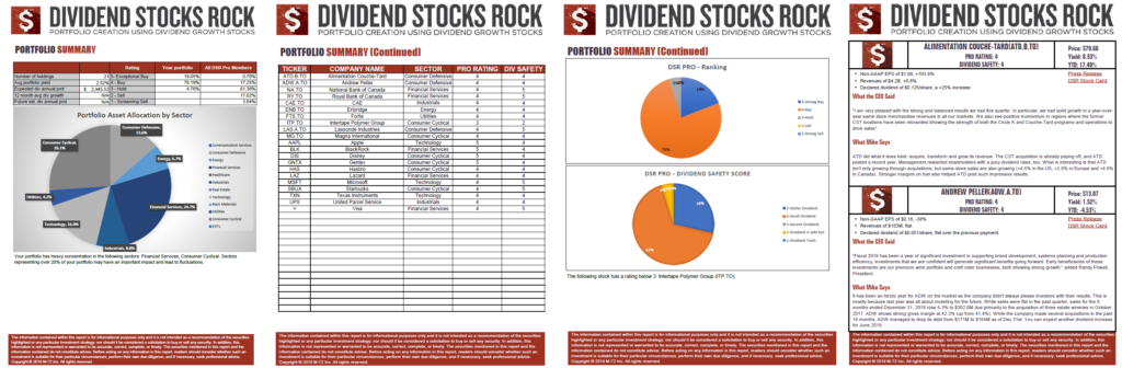 DSR PRO DIVIDEND INCOME REPORT