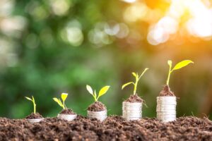 Seedlings growing on piles of coins, in ascending order of size